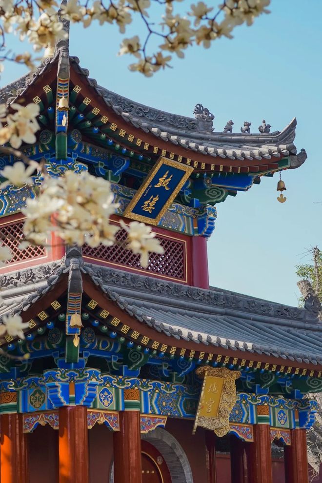 是多少？西安旅游攻略5天4晚本地团推荐J9真人游戏第一品牌西安旅游团5天报价